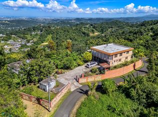 0 Bo Dajaos Camino Antonsanti, Bayamon, PR 00956