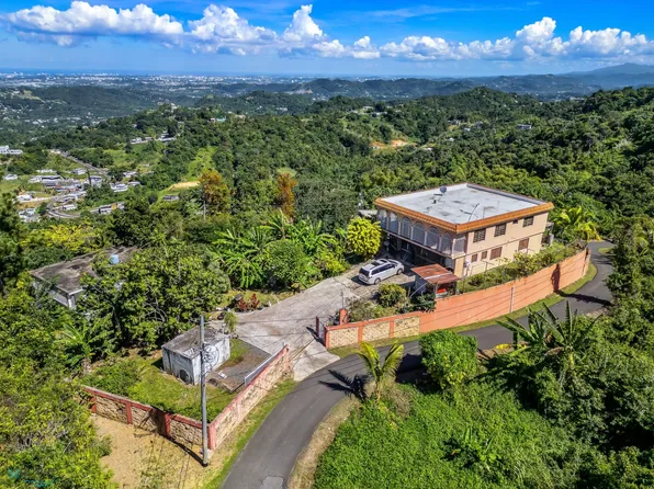 0 Bo Dajaos Camino Antonsanti, Bayamon, PR 00956