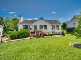 111 Hawk Ln, Gray, TN 37615