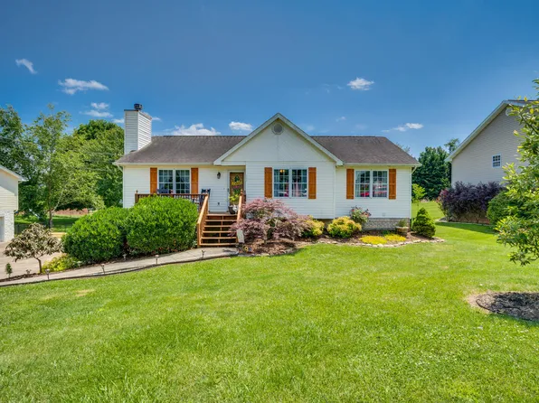 111 Hawk Ln, Gray, TN 37615