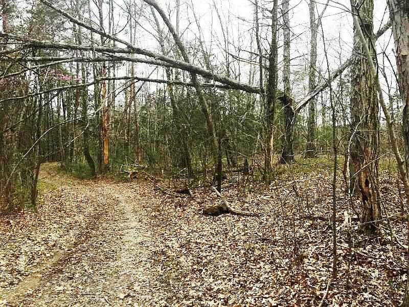 2nd image of 300 Wildcat Cir
