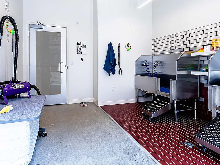 Apartment community pet washing station at Griffis Pine Ave in Long Beach, California.