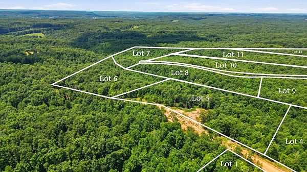 2nd image of 0 Poplar Point Ln Lot 5