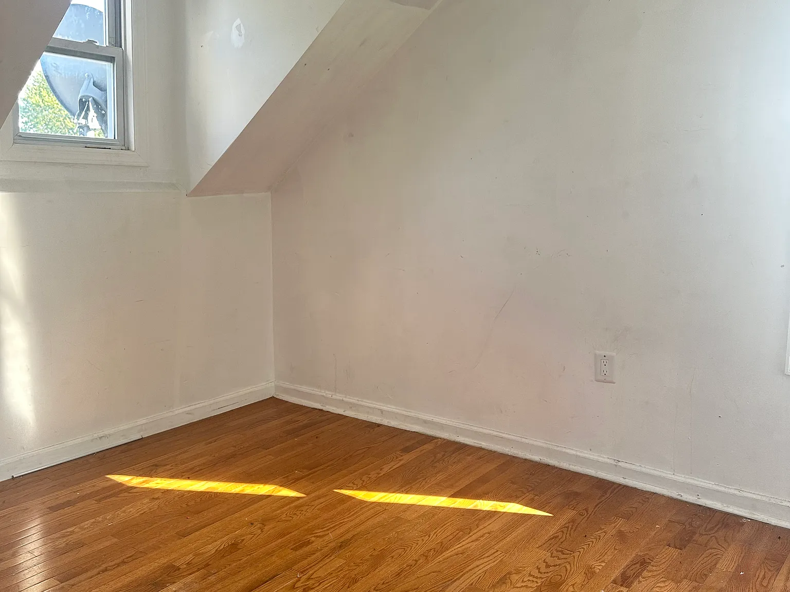 1 bed, $1,500 — Photo 4