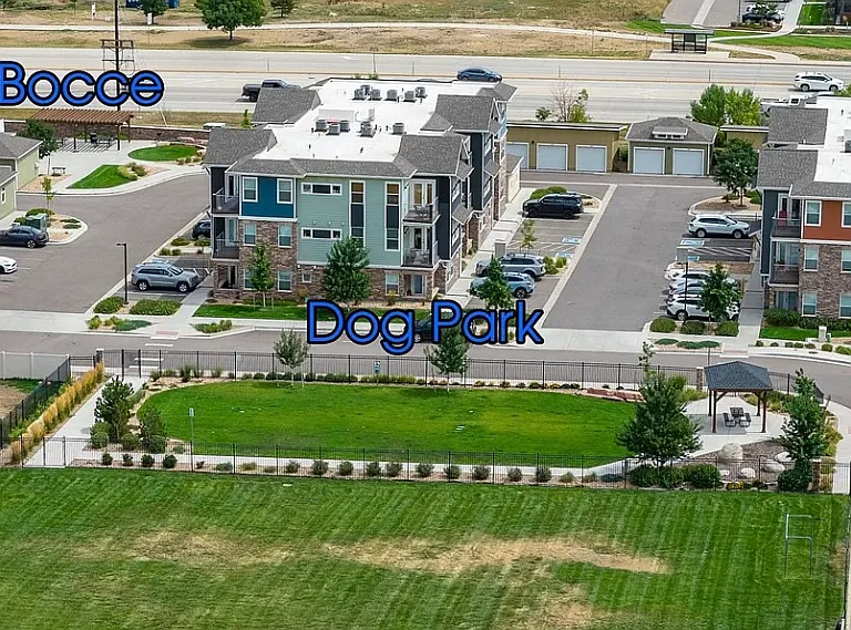 Dog Park