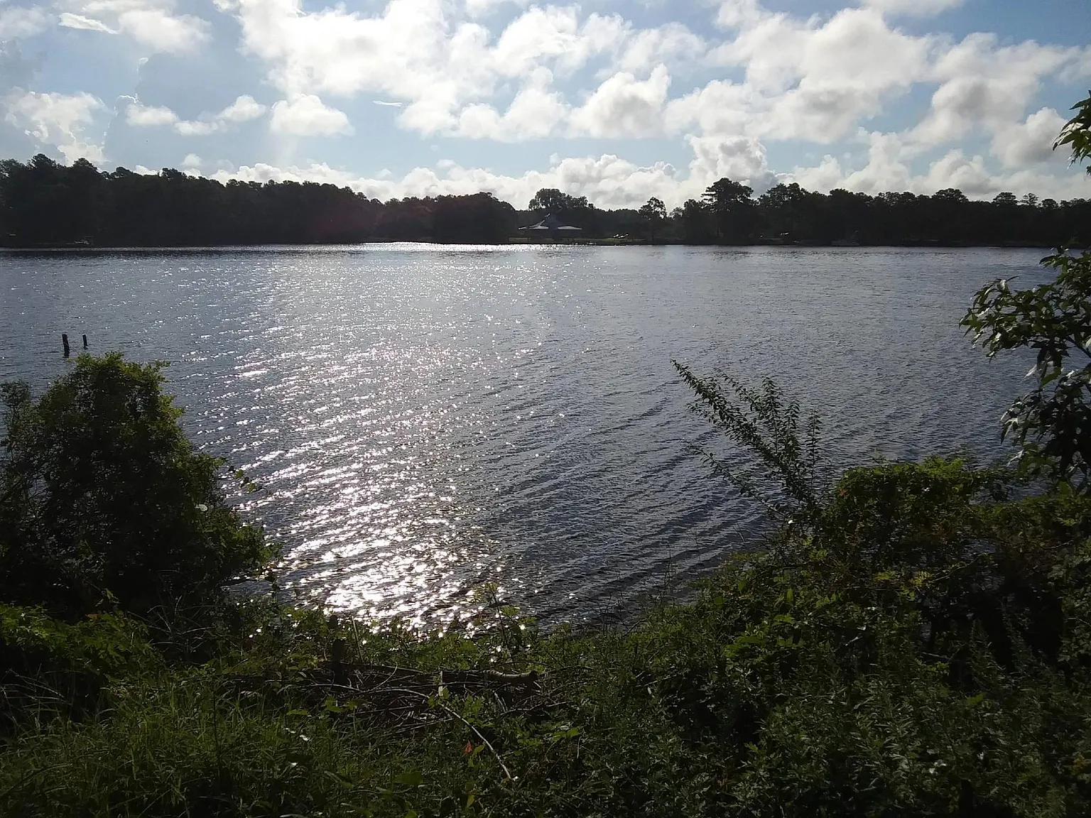 1 bed, 1000 sqft, $1,300 — Photo 1
