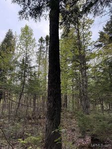 Tbd Sandstone Rd, Lake Linden, MI, 49945