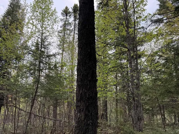 Tbd Sandstone Rd, Lake Linden, MI 49945