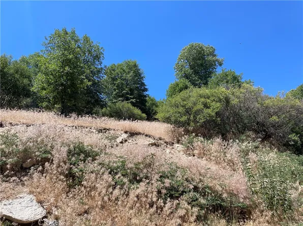 LOT 22-22A Hook Creek Rd, Cedar Glen, CA 92321