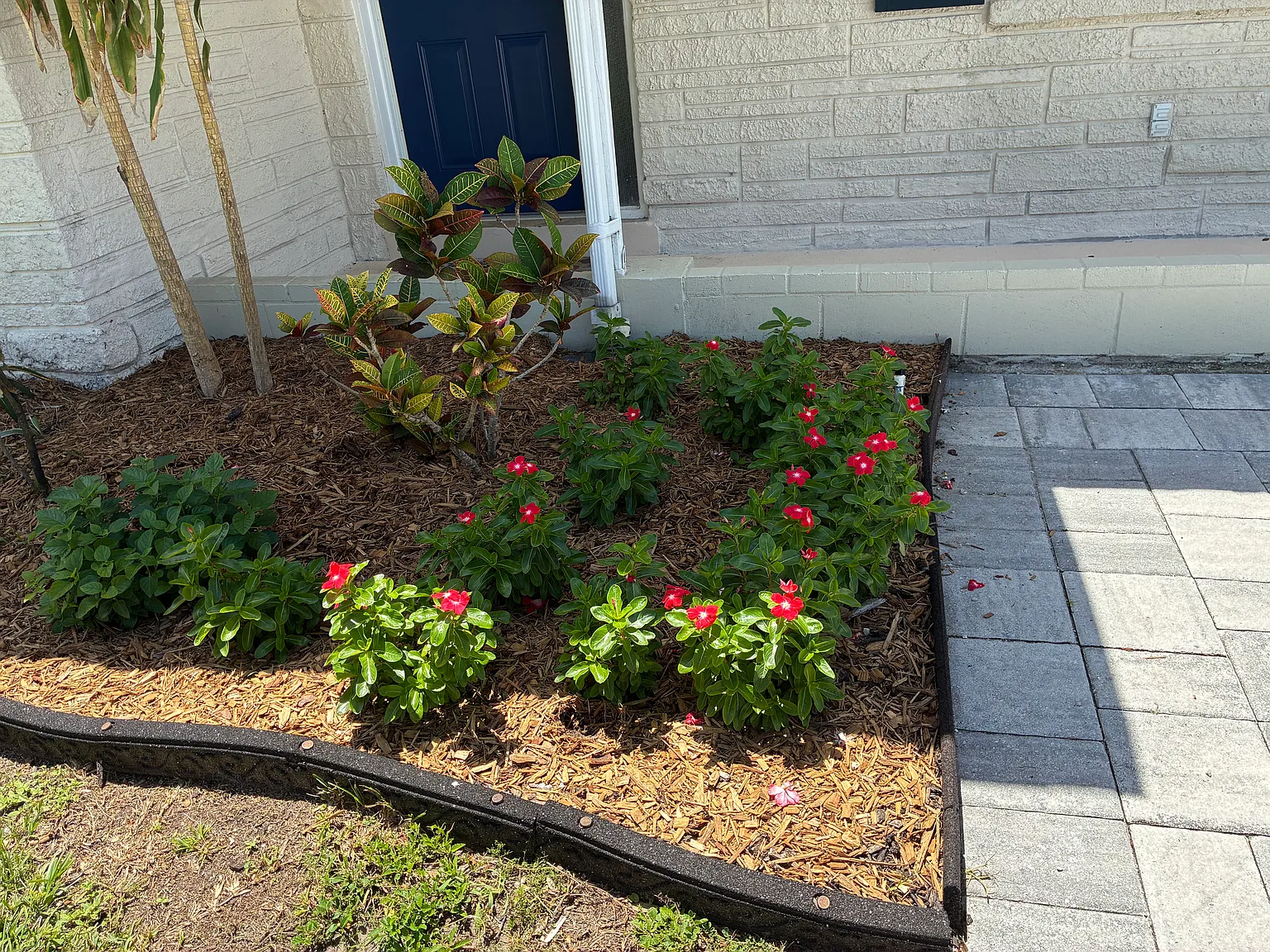 4 bed, 1671 sqft, $3,600 — Photo 2