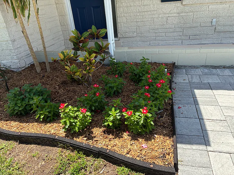 lovely garden spot1