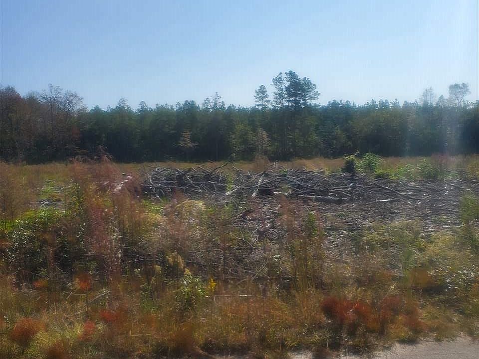 2nd image of 170 Beechleaf Ct