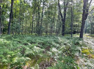 Sanocki Rd, Manistee, MI 49660