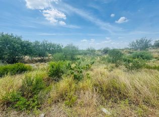 122 N Chele Rd, Falcon Heights, TX 78545