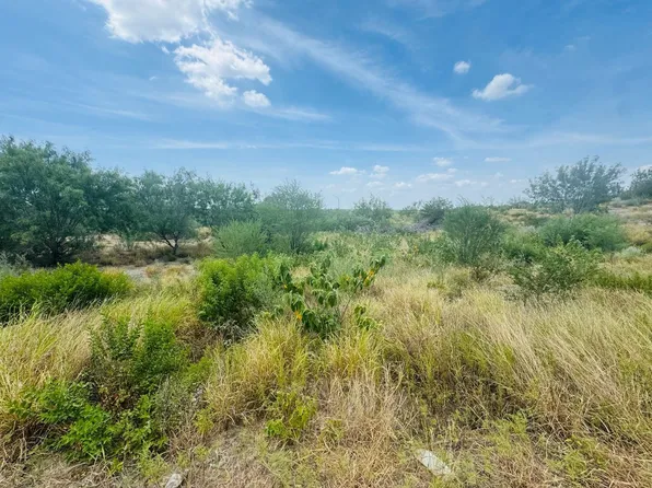 122 N Chele Rd, Falcon Heights, TX 78545
