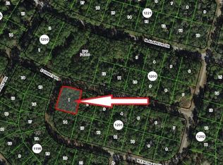 1296 E Urmey Pl, Citrus Springs, FL 34434