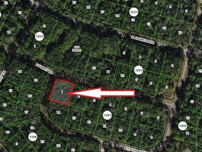 1296 E Urmey Pl, Citrus Springs, FL, 34434
