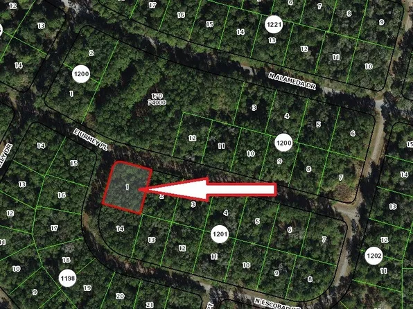 1296 E Urmey Pl, Citrus Springs, FL 34434