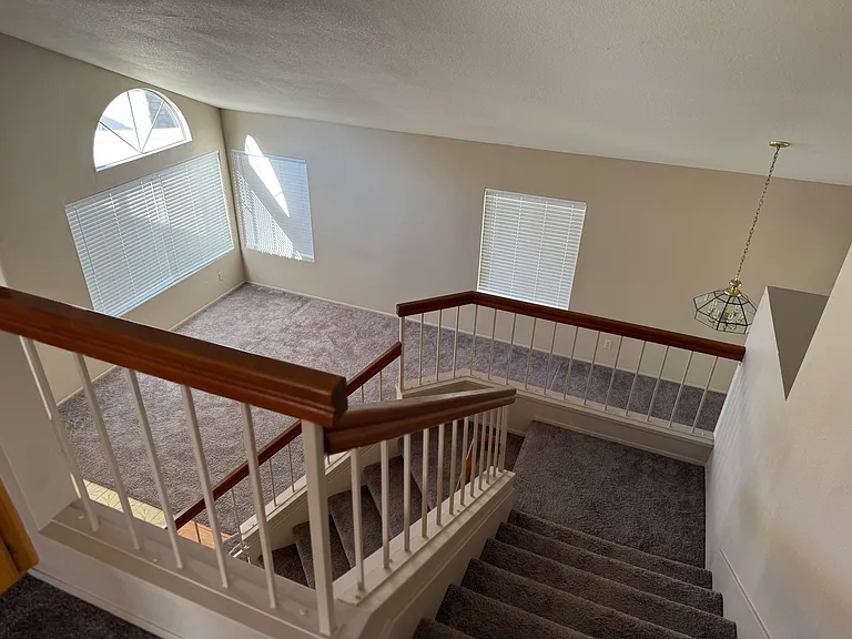 29802 Marhill Cir — Photo 24