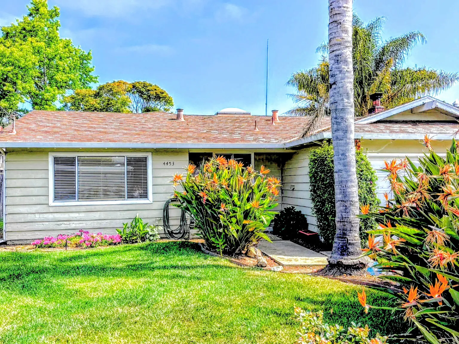 4453 Ranchero Dr — Photo 1