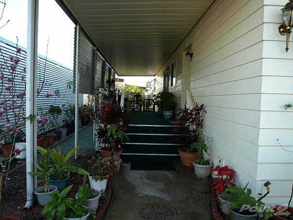 Great Light For Plants