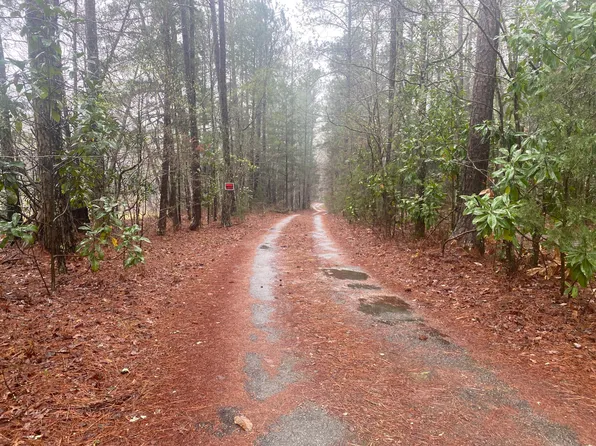 497 Neely Rd, Sharpsburg, GA 30277