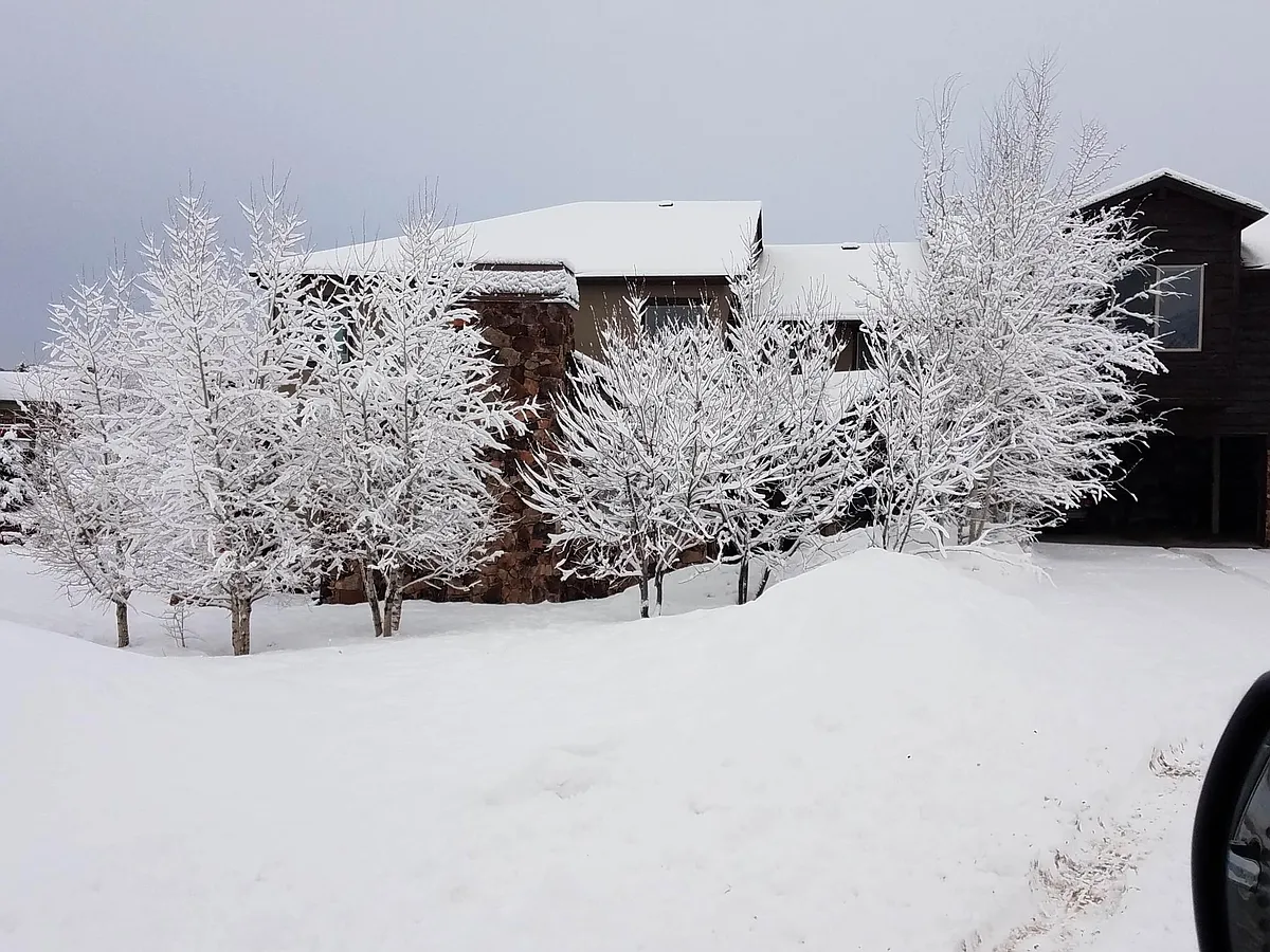 Building Photo - 6169 Snowview Dr