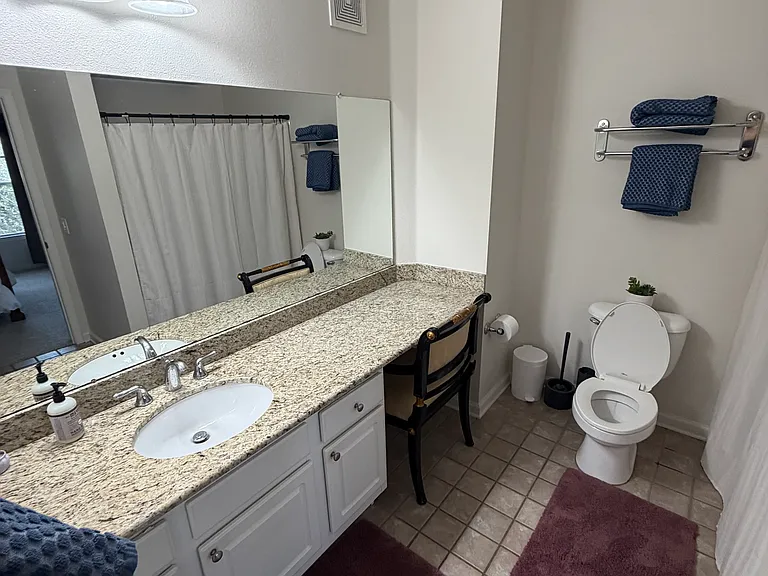 4207 S Dale Mabry Hwy #1303 — Photo 10