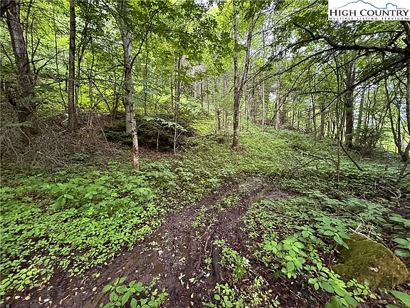 2nd image of 19.62 Acres Robert Sluder Lane
