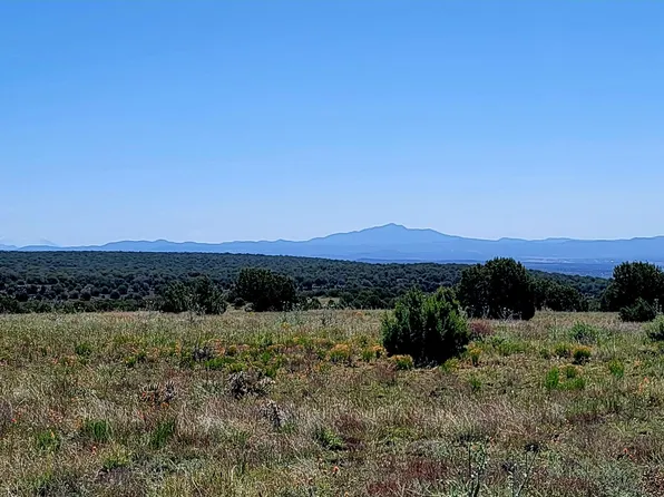 145 SE Starship Trl, Ash Fork, AZ 86320