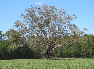 0 Paul Barnes Rd, Chadbourn, NC 28431