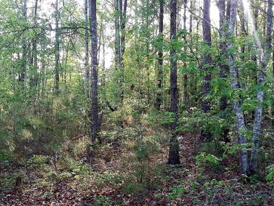 0 High Falls Park Rd, Barnesville, GA, 30204