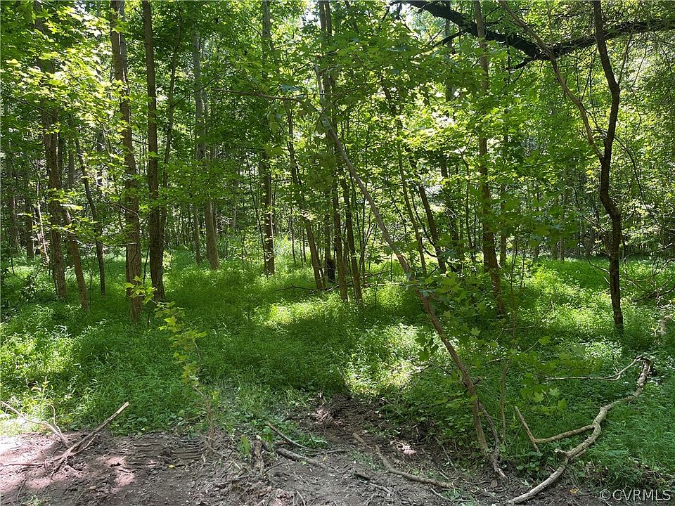 2nd image of 2031 Moseley Rd