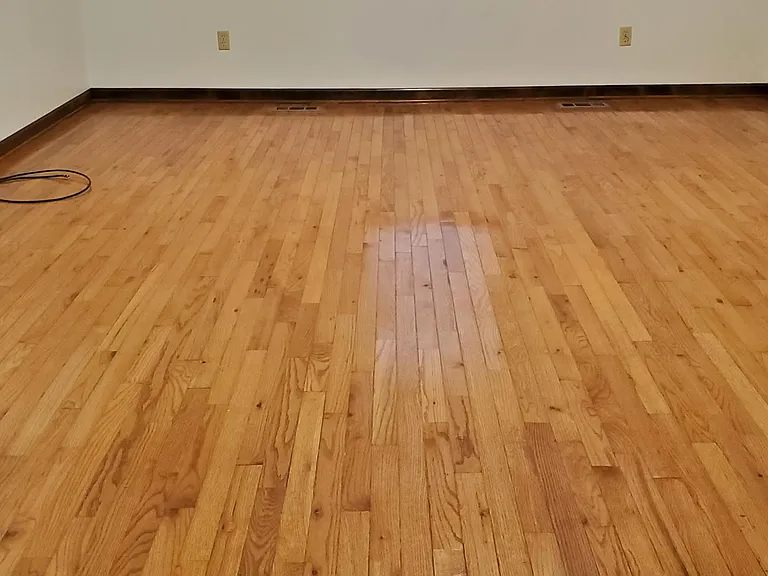 7001 Pauline Cir — Photo 37