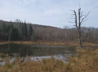 0WP Texas Rd, Mount Vision, NY 13810