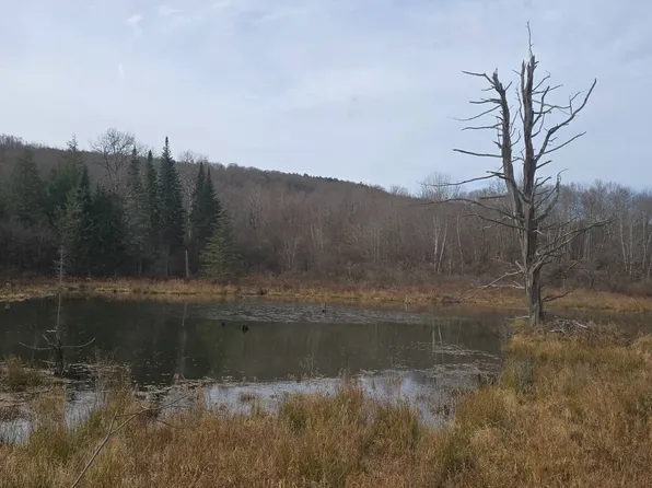 0WP Texas Rd, Mount Vision, NY 13810