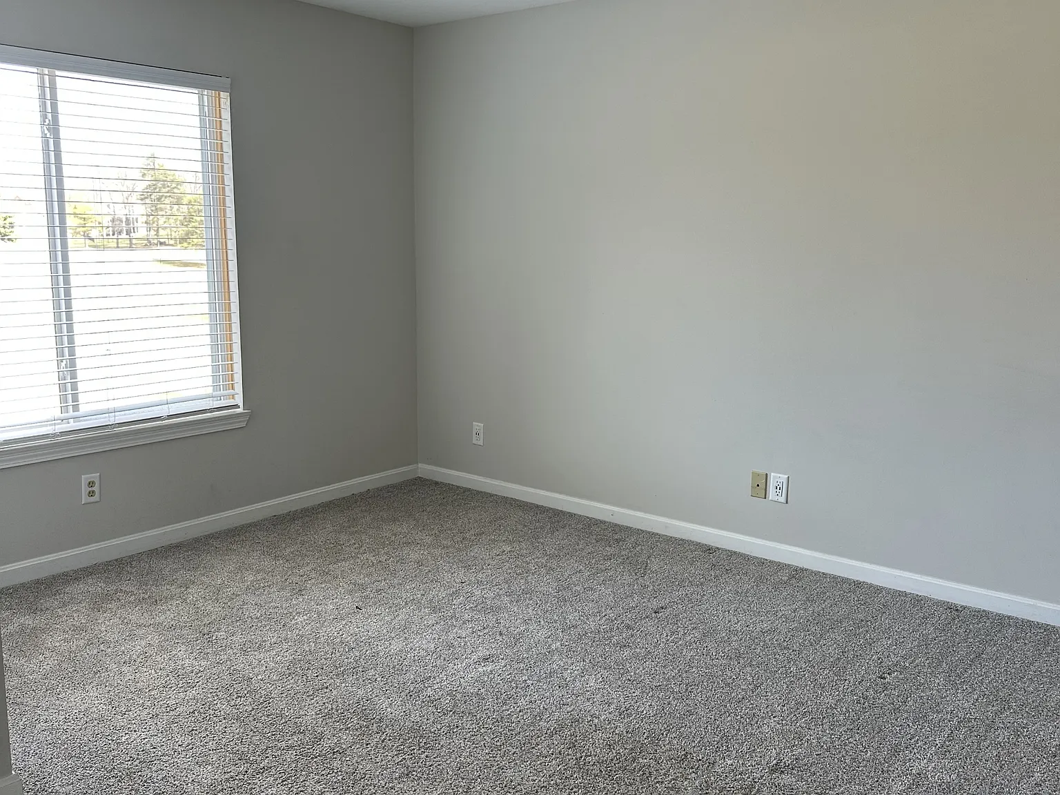 901 Pine Valley Drive — Photo 3