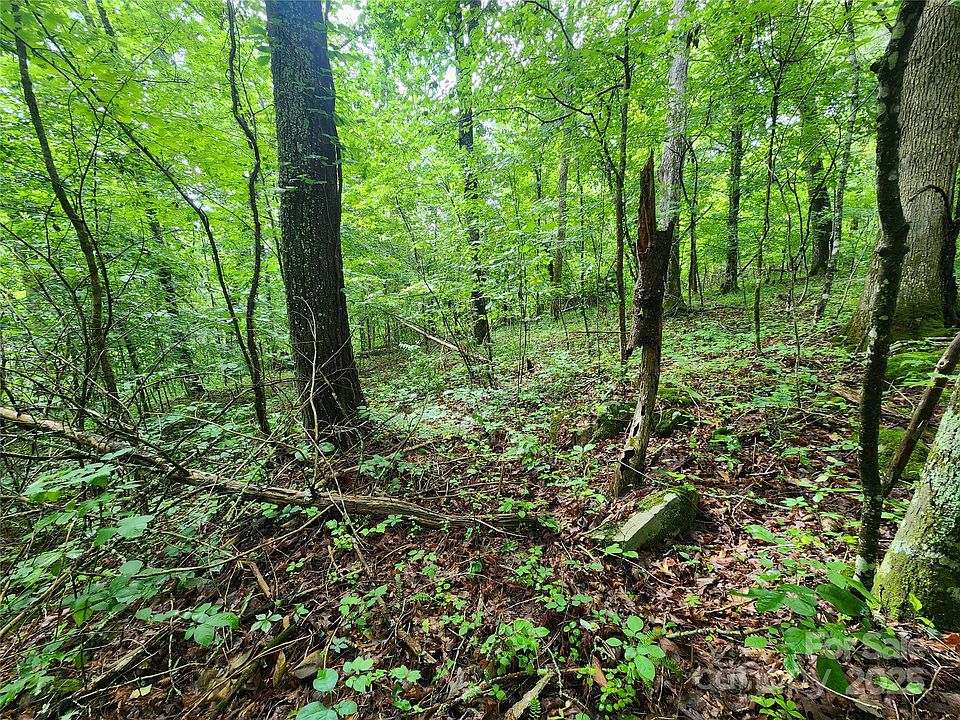 2nd image of Henry Worley Ln