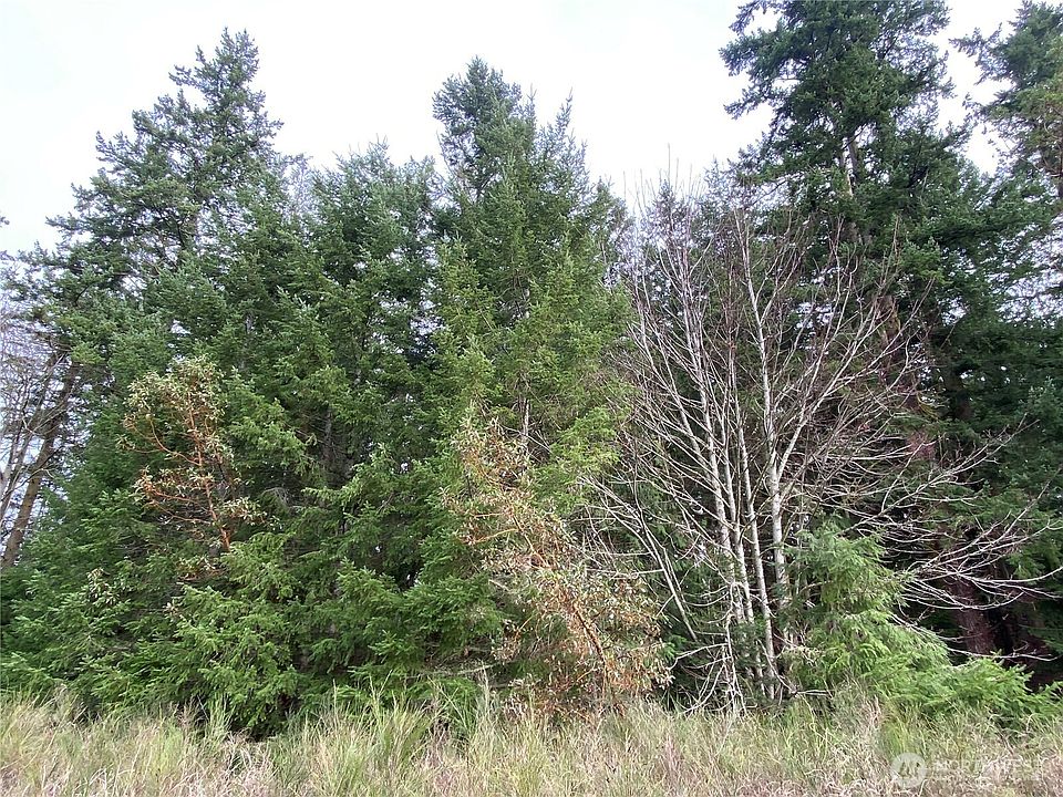 2nd image of 999 Oak Bay Road