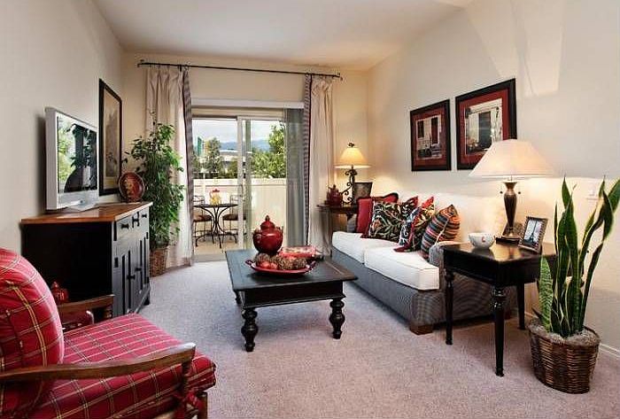 Spacious Living Room
