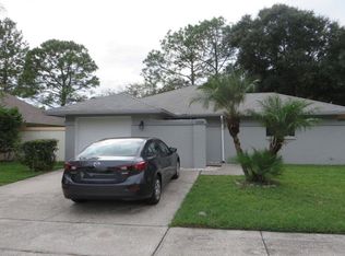 11928 Hickorynut Dr, Tampa, FL 33625