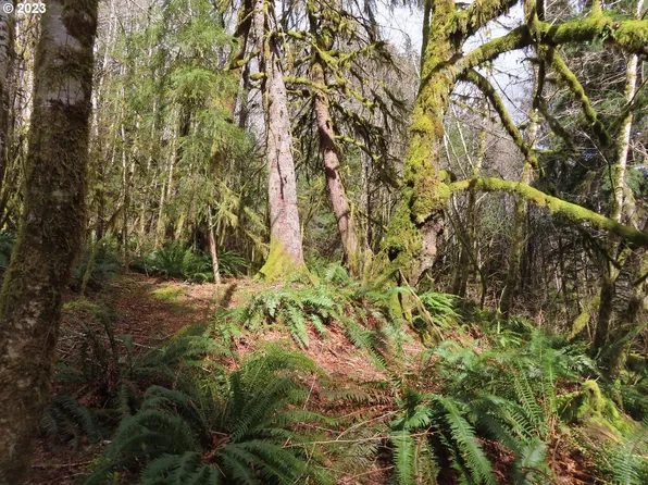 Artic Rd, Cosmopolis, WA 98537