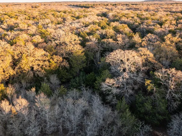 0 21/ Ac Grassyville Rd, Paige, TX 78659