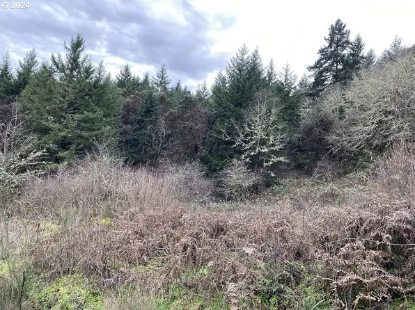 0 Terri Ct, Oakland, OR 97462