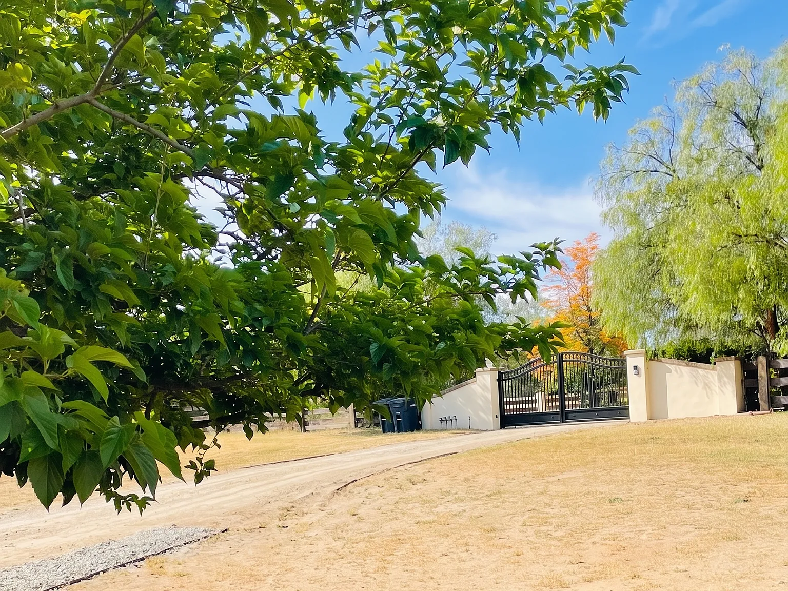 4 bed, 2887 sqft, $5,000 — Photo 2