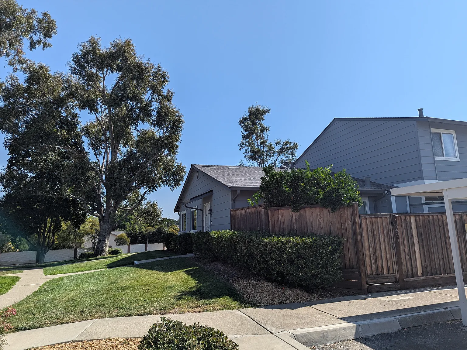 3 bed, 900 sqft, $3,150 — Photo 2