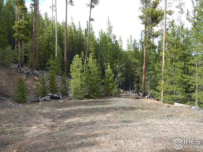 226 Shoshoni Dr, Red Feather Lakes, CO, 80545