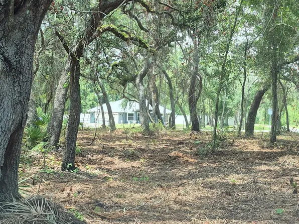 7149 Alloy St, Webster, FL 33597