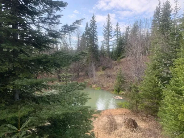 1092 Huckleberry Butte Rd, Orofino, ID 83544