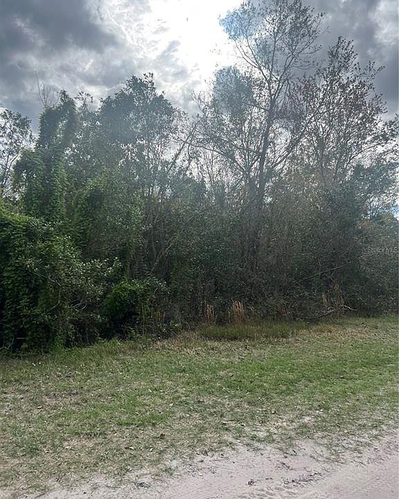 2813 W Blanda Rd Avon Park FL Zillow